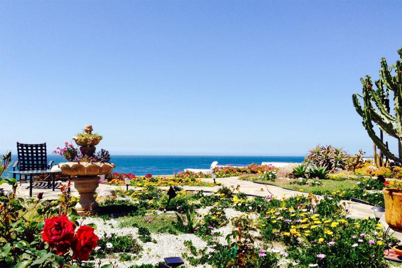 Carol Bailey,  Todos Santos.