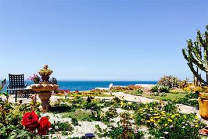 Carol Bailey,  Todos Santos.